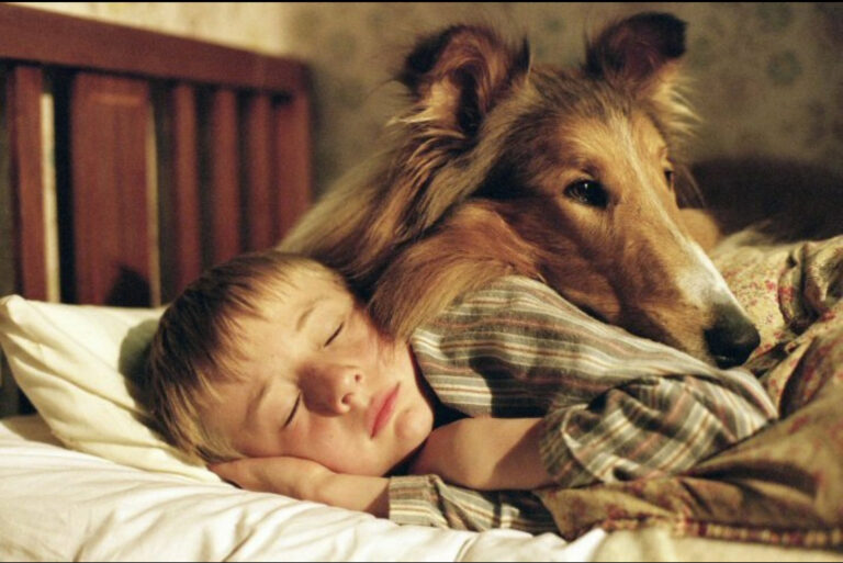 Lassie&Timmy