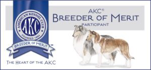 AKC Breeder of Merit Badge