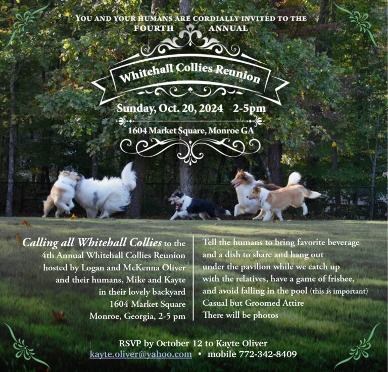 2024 Reunion Invite_page-0001