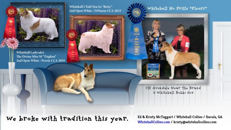 2024_CCAbragAd_Fleuri_page-0001