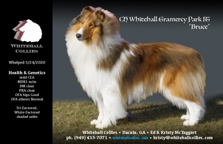 CH WHITEHALL GRAMERCY PARK IT (2PG)_page-0001