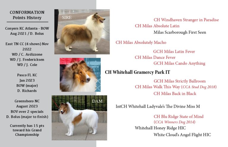 CH WHITEHALL GRAMERCY PARK IT (2PG)_page-0002