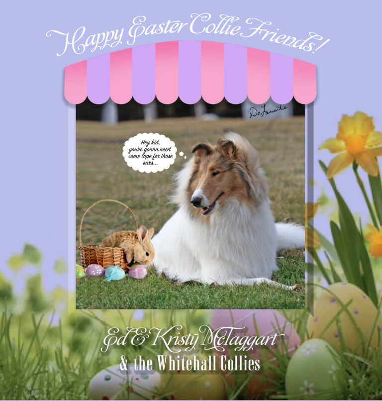 CollieFriendsEasterCard