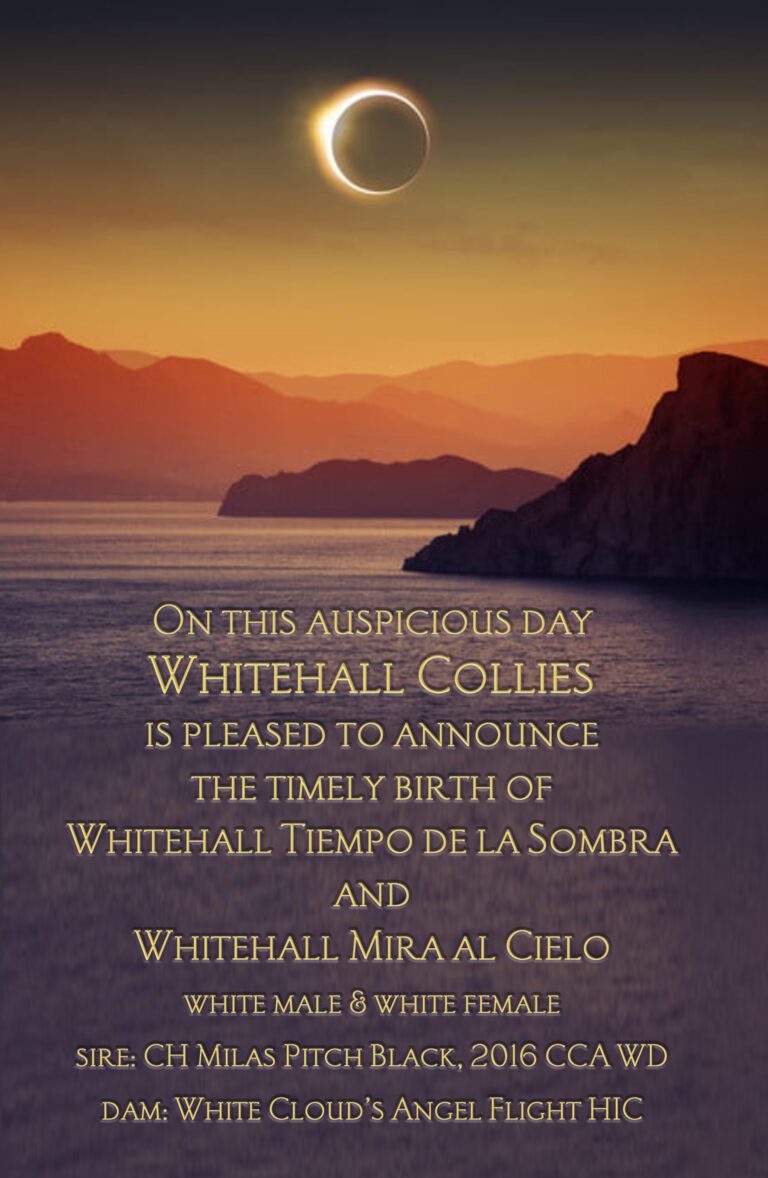 EclipseBabyBirthAnnc