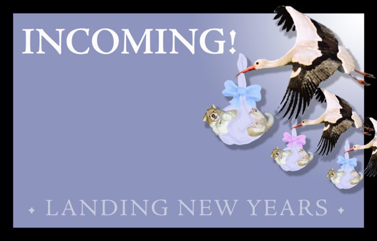 Tieghan-HarleyPreggo Annc