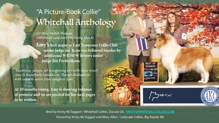 WHITEHALL ANTHOLOGY_page-0001