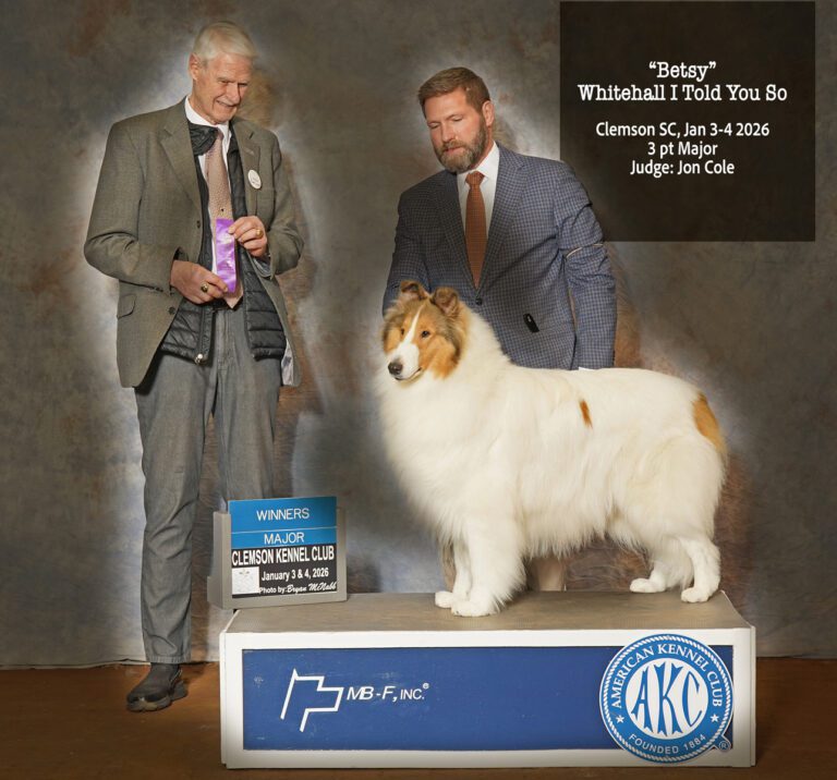 WHITEHALL I TOLD YOU SO