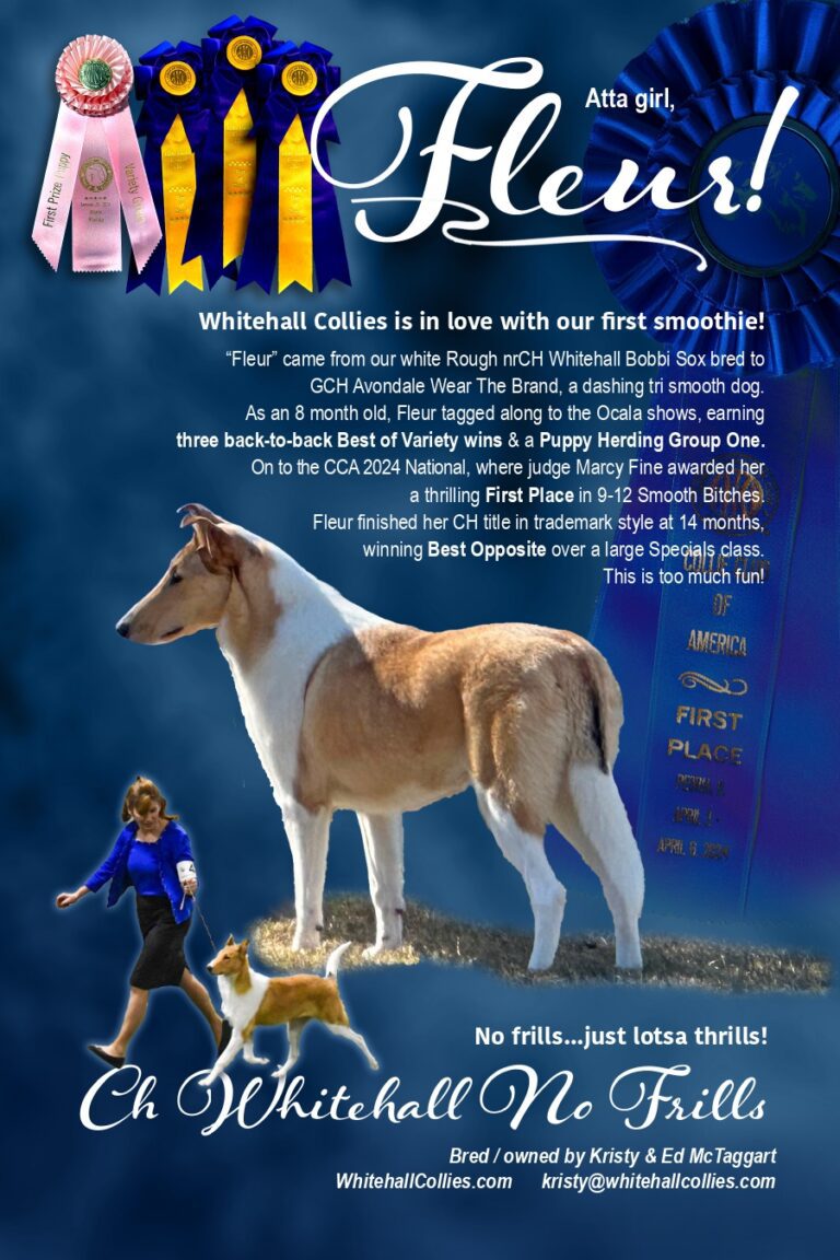 WhitehallAdPROOF_page-0001