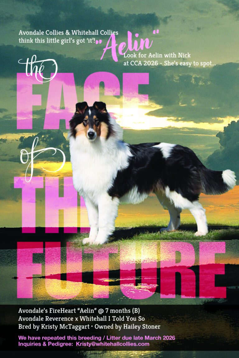 photo_2026-03-19_10-02-40