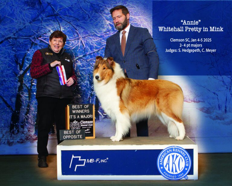 photo_2026-03-19_10-03-54