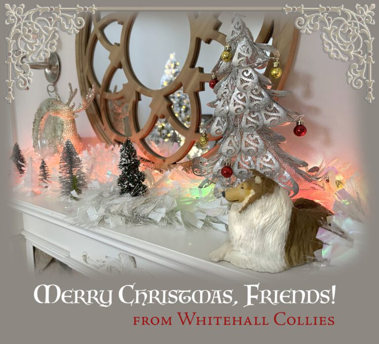 photo_2026-03-19_10-04-15