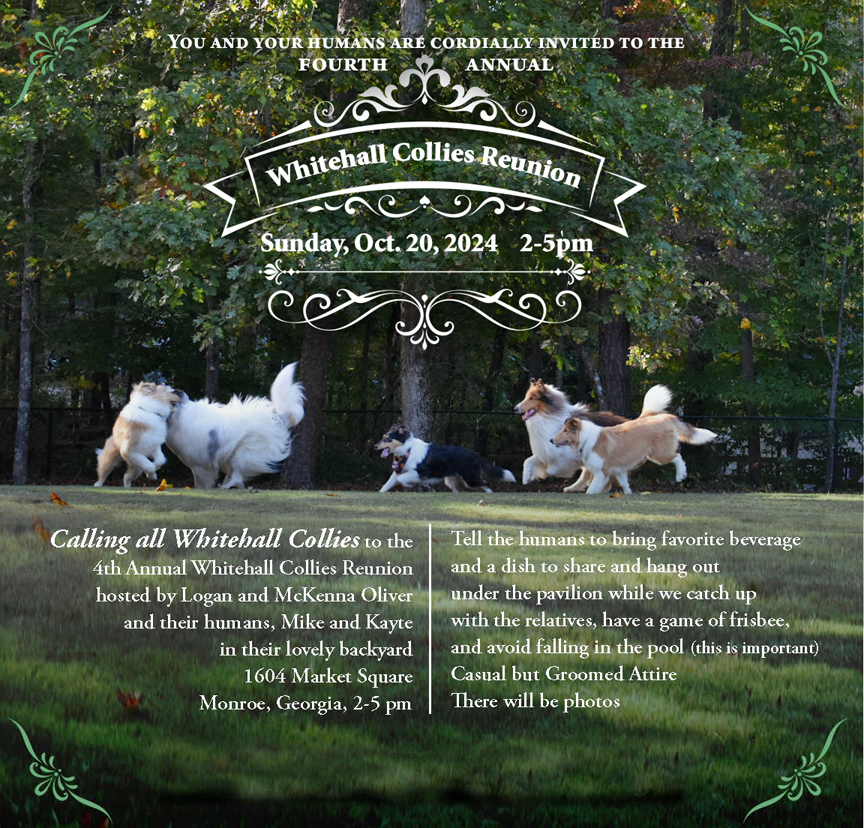 IMG_202604119_154500904