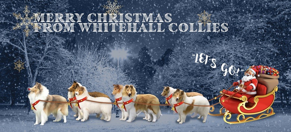 photo_2026-04-04_03-46-42