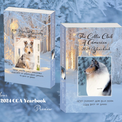 Collie Club of America 2024 Yearbook, design & production by Kristy McTaggart for McTaggart Design Group.