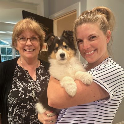 Tricolor Rough Collie puppy