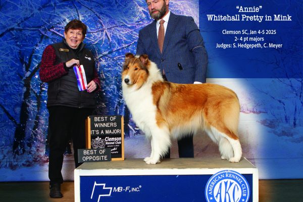 "Annie" takes a major win