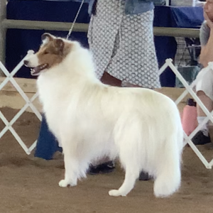 Zoey at Elkton show