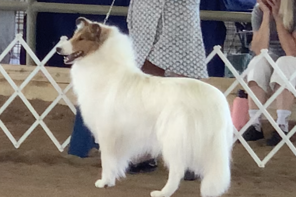 Zoey at Elkton show