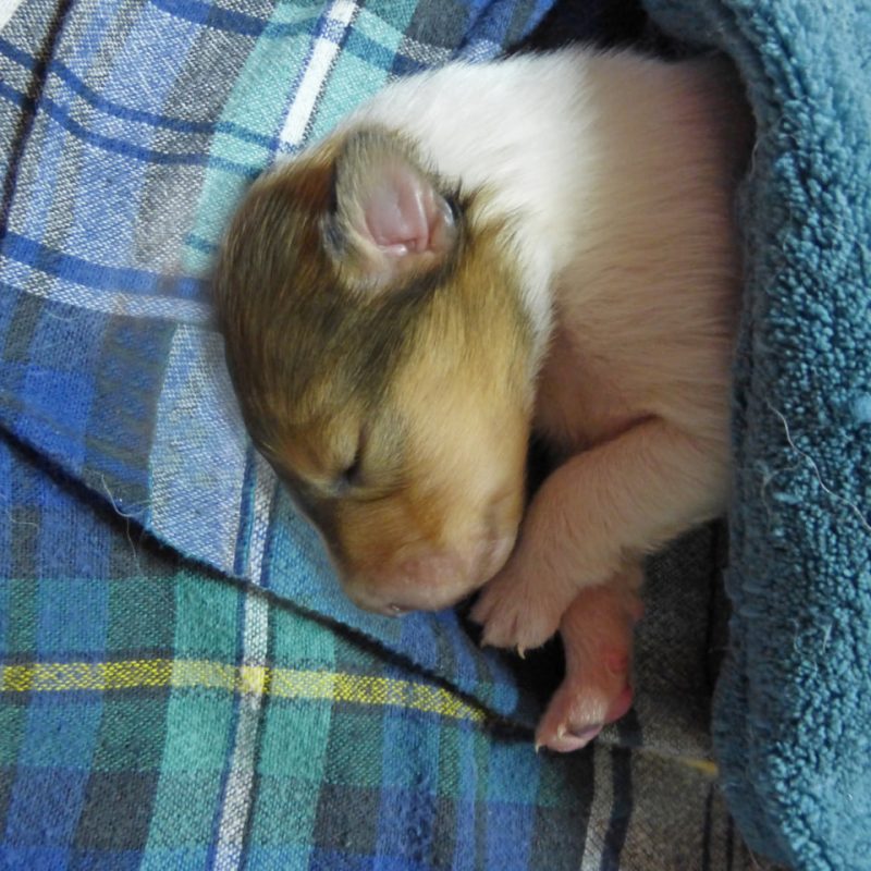 photo_2026-03-18_15-48-36