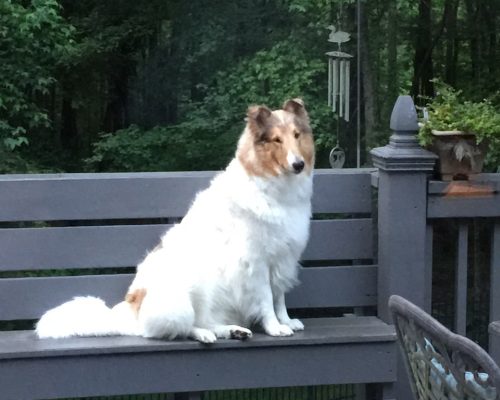 photo_2026-03-24_11-28-46