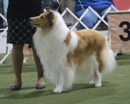 photo_2026-03-24_11-28-50