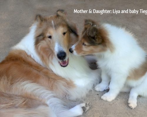 photo_2026-04-04_03-46-31