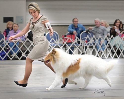 photo_2026-04-04_03-46-38